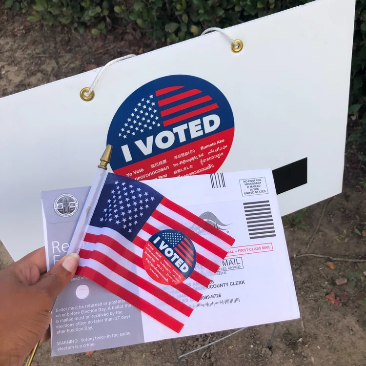 VoterAccess.webp